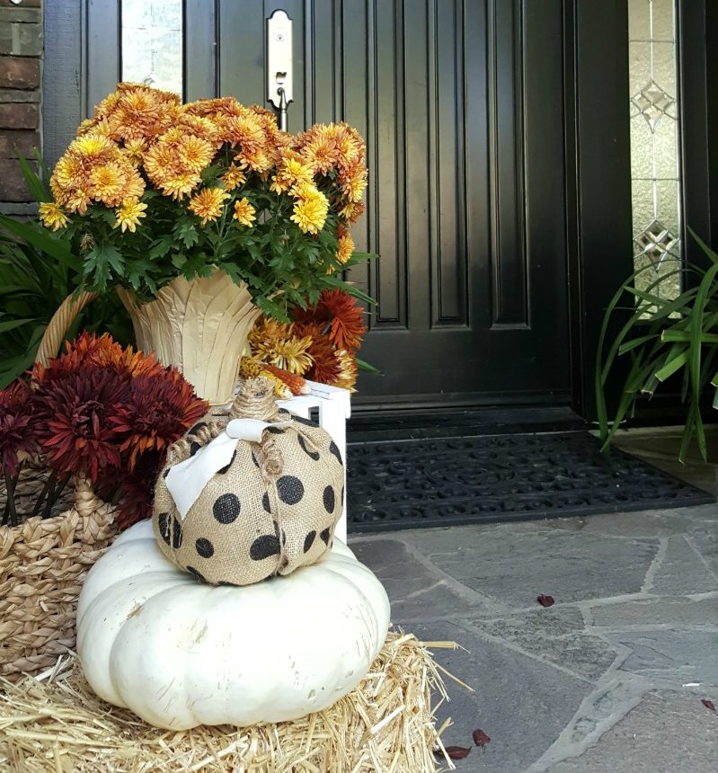 fall front door with mums and pumpkins