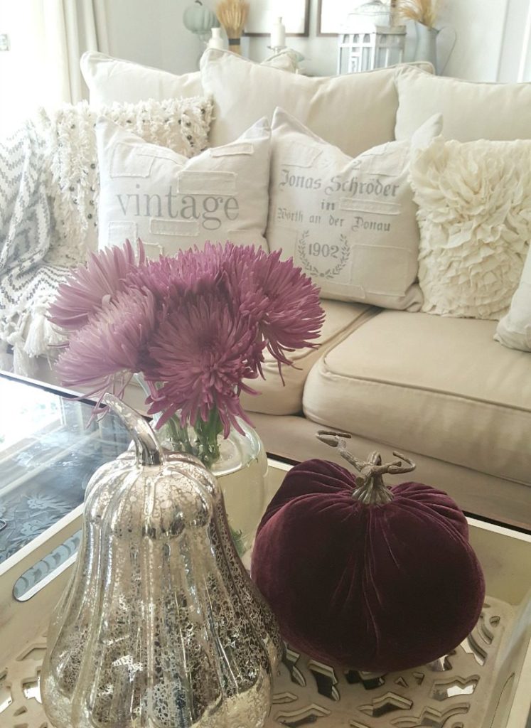 fall coffee table styled with purple mums and velvet pumpkin