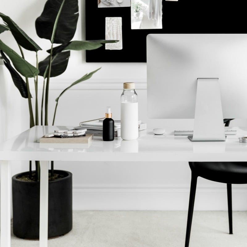 black and white desk with computer and floor plant