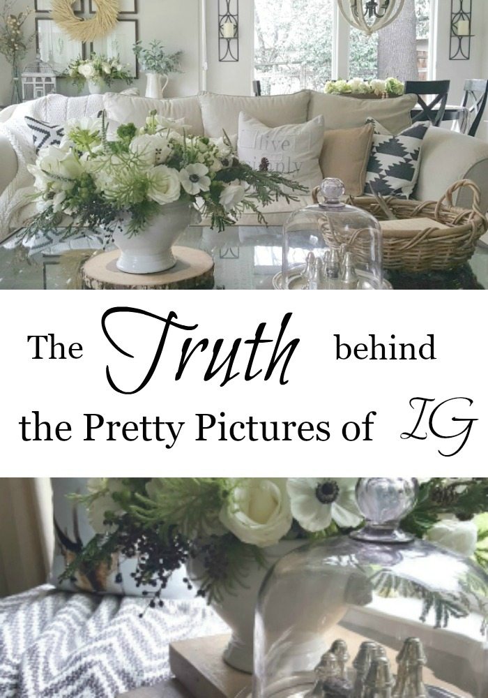truth behind pretty pictures pin