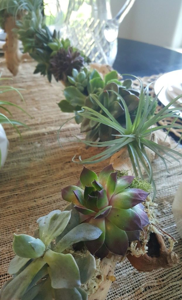 succulent planter with easy DIY tutorial