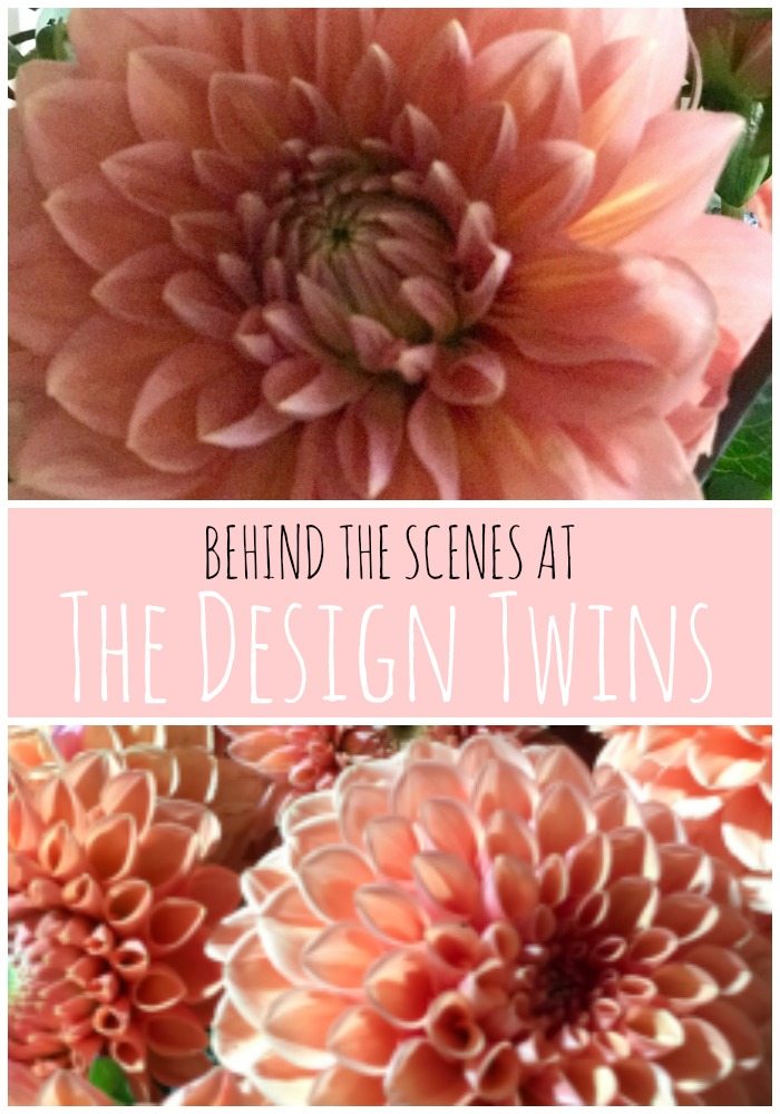 Behind the Scenes at The Design Twins pin
