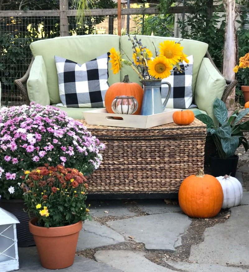 outdoor seating with pumpkins and flowers