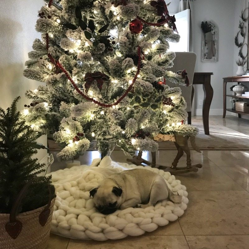 Cutest Christmas Decor with pug puppy under the tree
