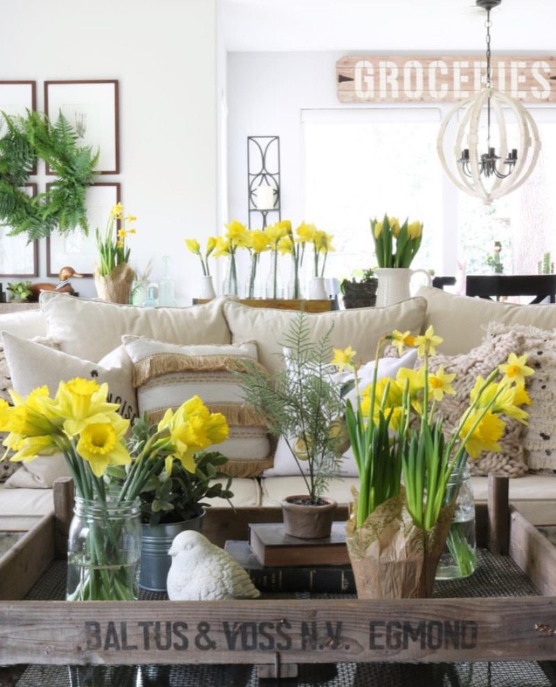 yellow daffodils are the perfect addition