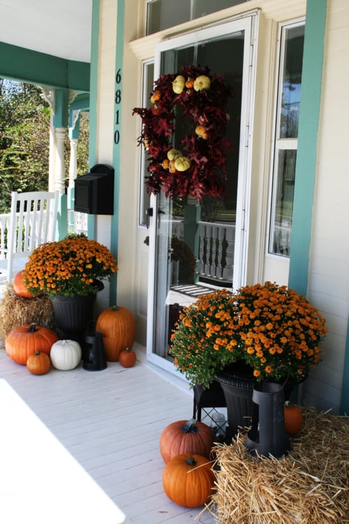 fall front door with mums and wreath