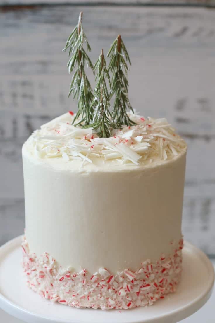 white peppermint chocolate cake with evergreen trees