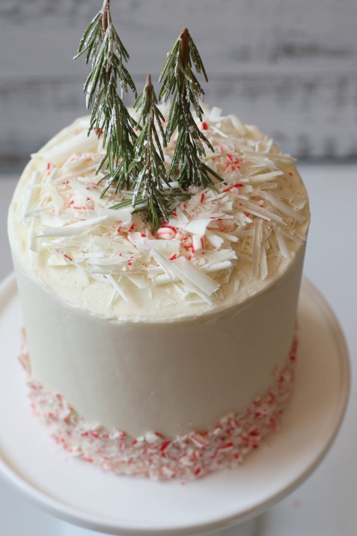 gorgeous holiday red and white cake