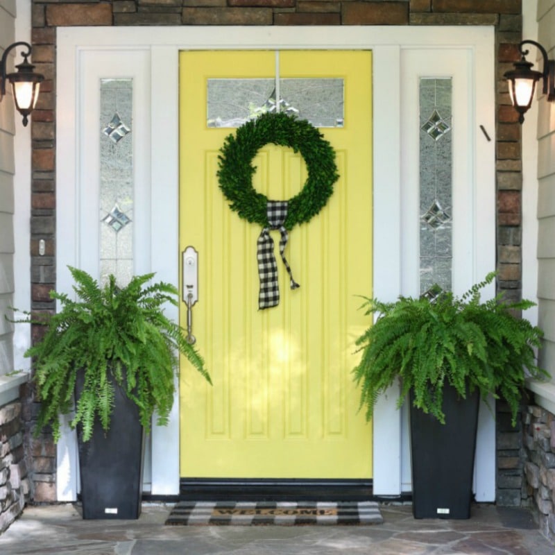 Best tips for painting plus step by step process for how to repaint your front door. How to choose colors, what paint to use. All your questions answered! #frontdoor #springdecor #yellowdoor #curbappeal #doorcolors #paintingadvice #thedesigntwins #paintingexpert #exteriordecor #ferns