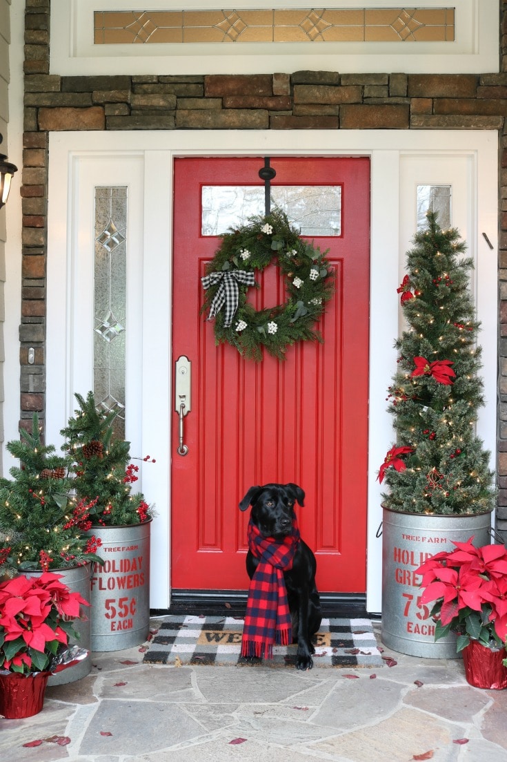 red christmas door paint with evergreens and christmas lab posing