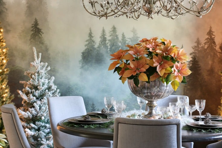 elegant dining room table with vintage silver vase filled with poinsettias crystal chandelier and misty forest backdrop