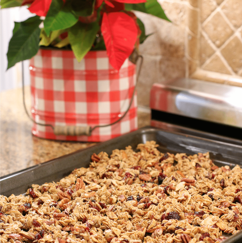 https://thedesigntwins.com/wp-content/uploads/2020/12/homemade-granola-1.png