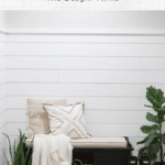 shiplap walls with farmhouse accents and cute dog in front