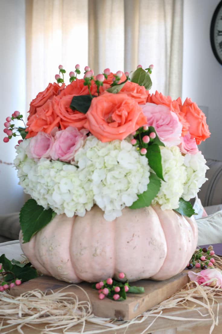cinderella pumpkin used as a vase holds pink and coral roses and hydrangeas
