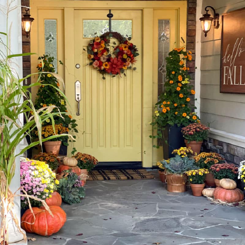 Gold painted front door with mums and flowers decorated for fall