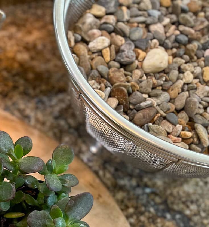 use gravel or small rocks as planter base for best succulent drainage
